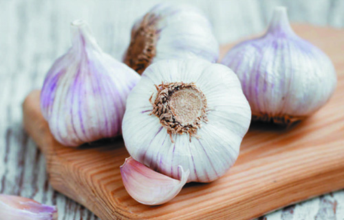 About Black Garlic